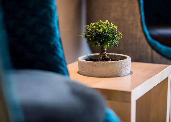 Апарт-отель Mava